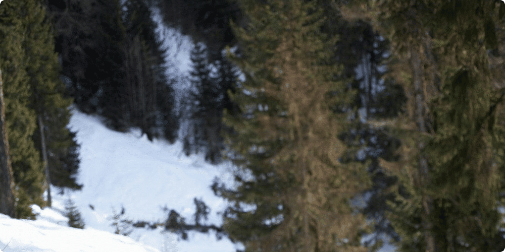 Stratégies pour éviter les collisions sur les pistes de ski